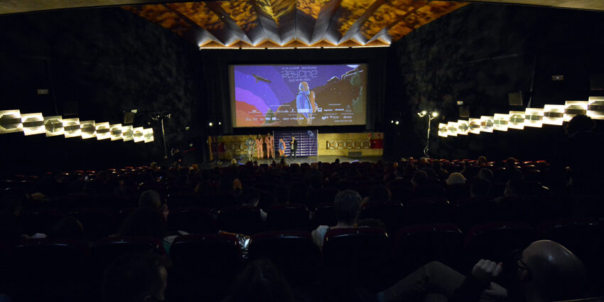 2020-10-24 THE MYSTERY OF THE PINK FLAMINGO (18)