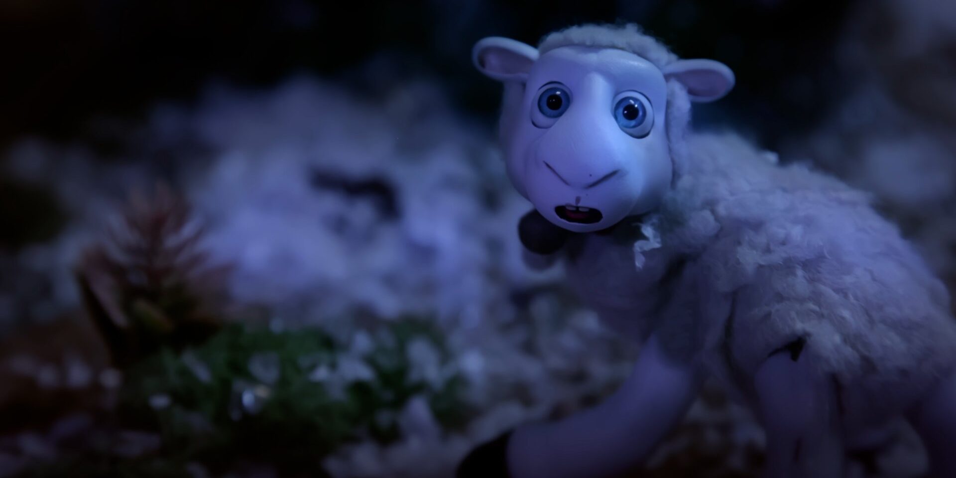 602-frame1_EL LOBO