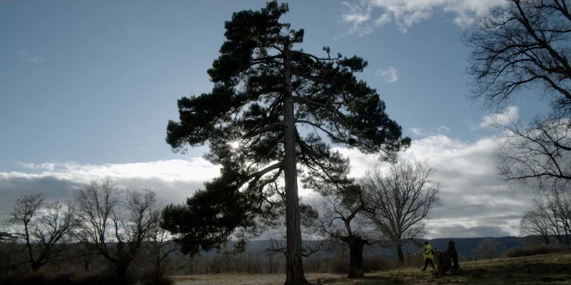 39-frame2_LAS OVEJAS DEL PLANETA TIERRA