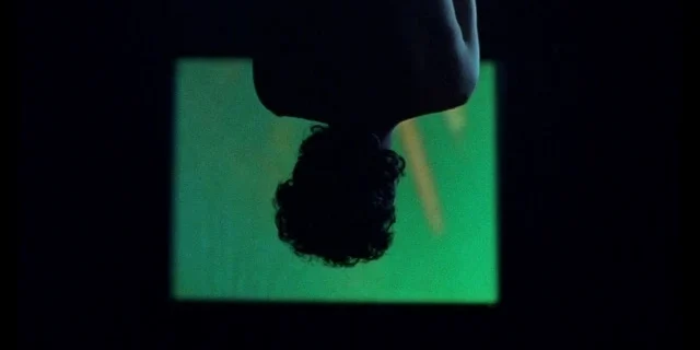 Los murciélagos han abandonado el campanario- still